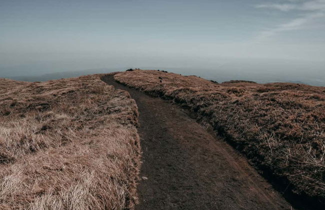 Trilha privada pelo Etna e pelo vale Bove - Foto 5