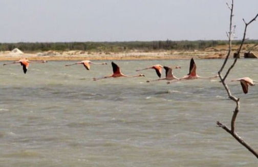Tour de 5 días por Manaure, Cabo de la Vela, Punta Gallinas y Nazareth - Foto 5