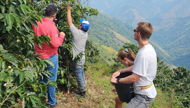 Tour del café por la región de Santa Marta - Foto 2
