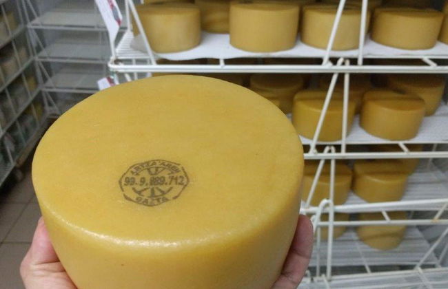 Experiencia única sobre el queso Idiazabal - Tour en grupo reducido - Foto 4
