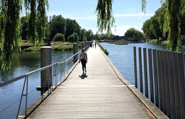Tour privado de la ruta del vino desde Estrasburgo - Foto 6