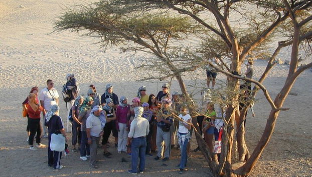 Safari Day En Jeep Incroyable Coucher de soleil, dîner, promenade en chameau et spectacle - Marsa Alam