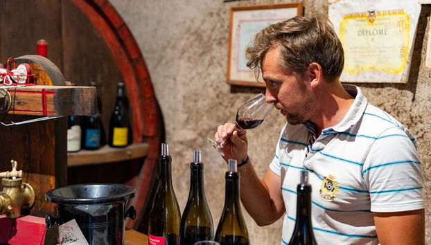 Aspettatevi di incontrare i produttori di vino e degustare la loro produzione