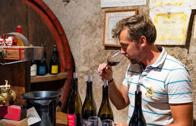 Tour privato del vino di Borgogna di un'intera giornata con Land Rover d'annata (Lione) - Foto 5