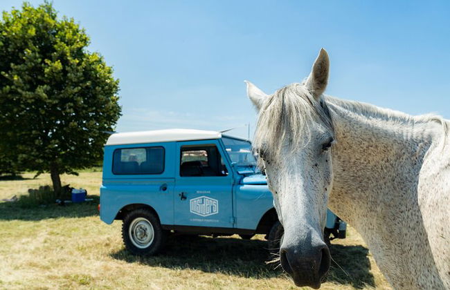 Tour privato del vino di Borgogna di un'intera giornata con Land Rover d'annata (Lione) - Foto 1