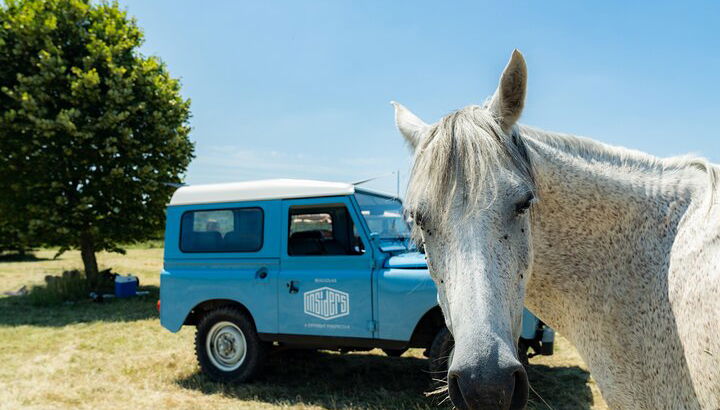 Tour enogastronomico privato della Borgogna meridionale con Land Rover d'epoca