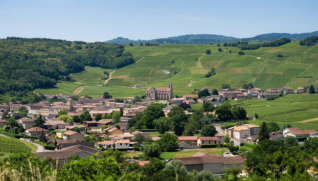 Questo è l'aspetto della zona e sicuramente conoscerete il nome del vino prodotto da questo specifico villaggio!