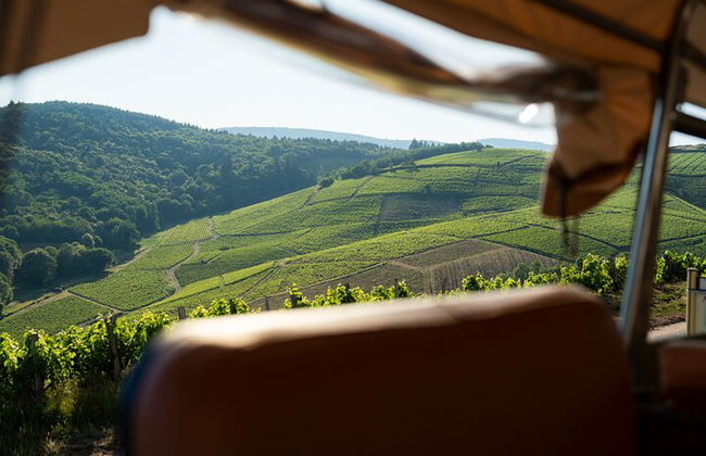 Tour privato del vino di Borgogna di un'intera giornata con Land Rover d'annata (Lione) - Foto 17