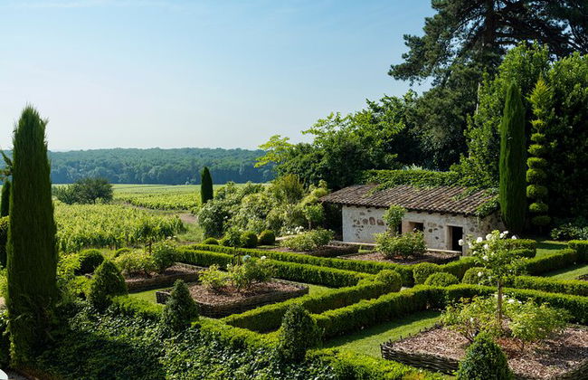 Tour privato del vino di Borgogna di un'intera giornata con Land Rover d'annata (Lione) - Foto 12
