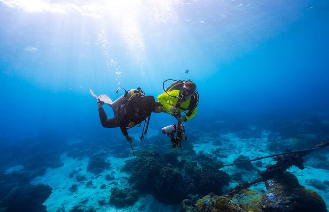 Excursión por el mar a Coral Garden con dos inmersiones y traslados – Marsa Alam - Foto 1