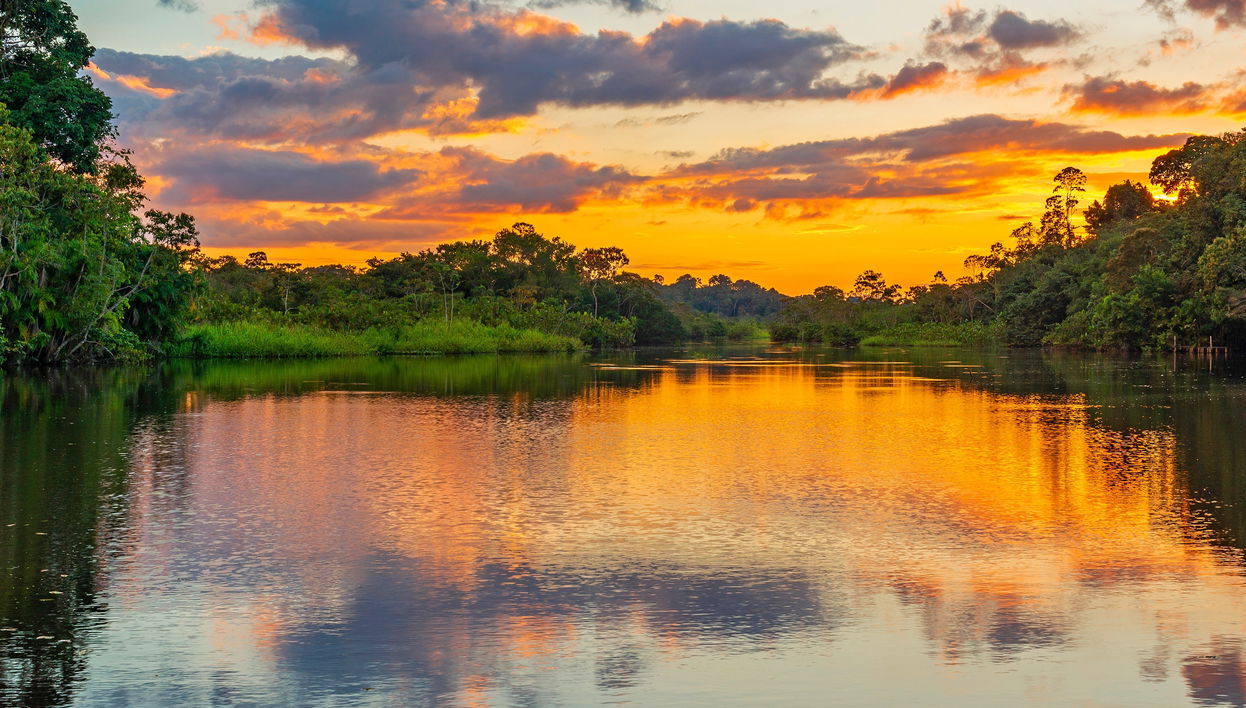 Amazon + Itaya Rivers Boat Tour - Foto 1