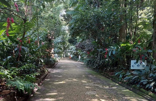 Tour pelos parques amazônicos - Foto 6