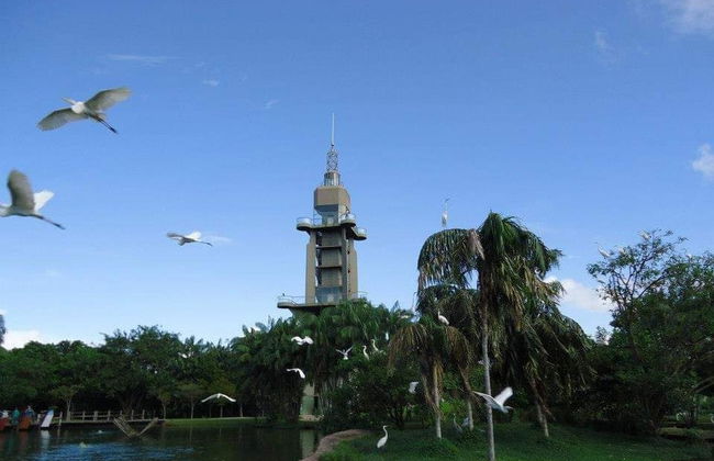 Tour pelos parques amazônicos - Foto 1