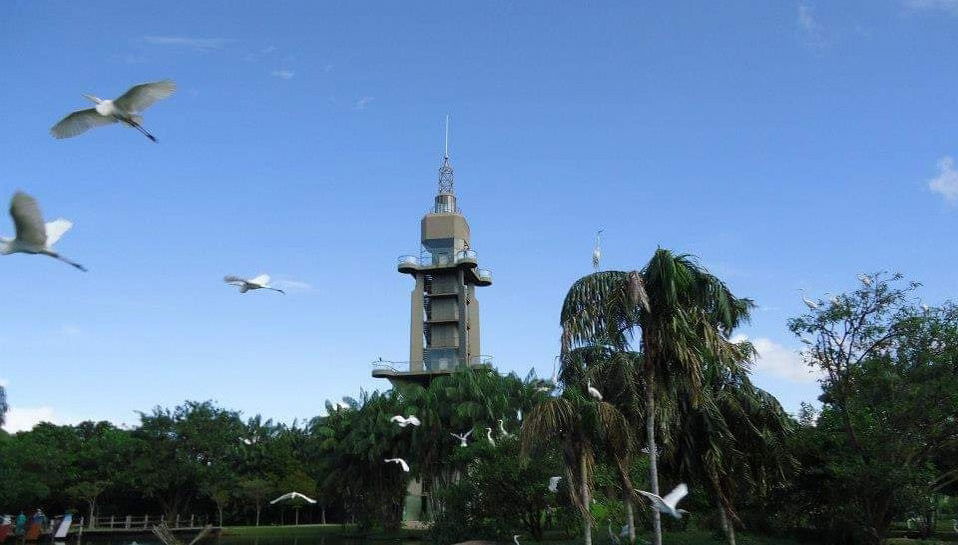 Tour pelos parques amazônicos - Foto 1