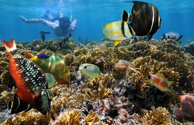 Passeio de barco e snorkel nas grutas de Guanacaste - Foto 7