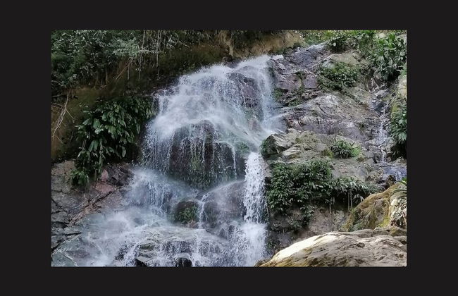 Rápel en las cascadas del río Minca - Foto 5