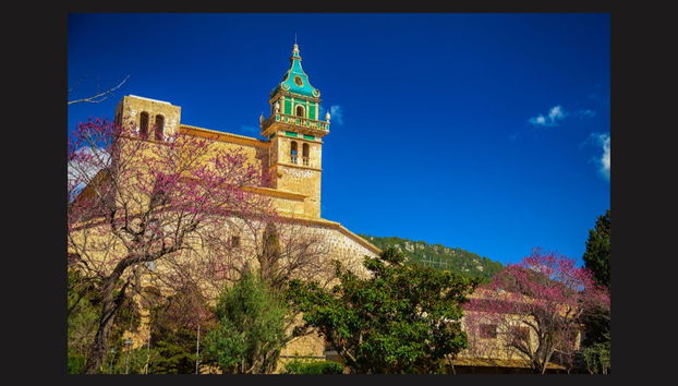 Palma + Valldemosa Excursion - Foto 4