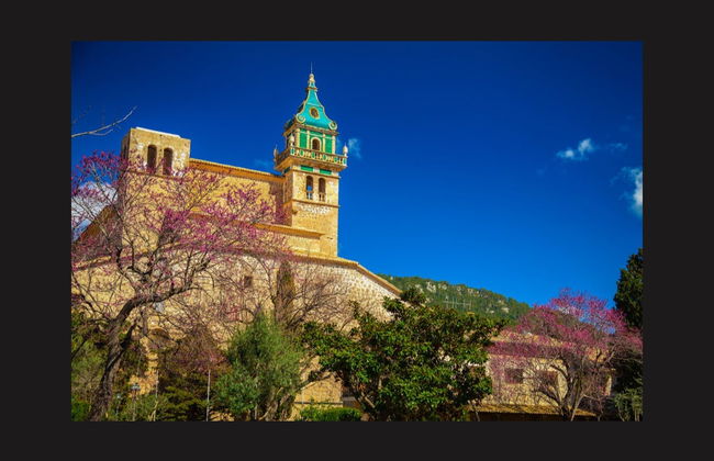 Excursión a Palma y Valldemosa - Foto 4