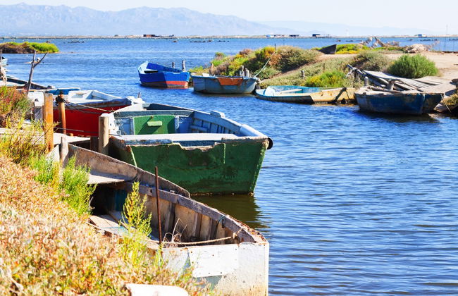 Ebro Delta Day Trip + Boat Ride - Foto 1