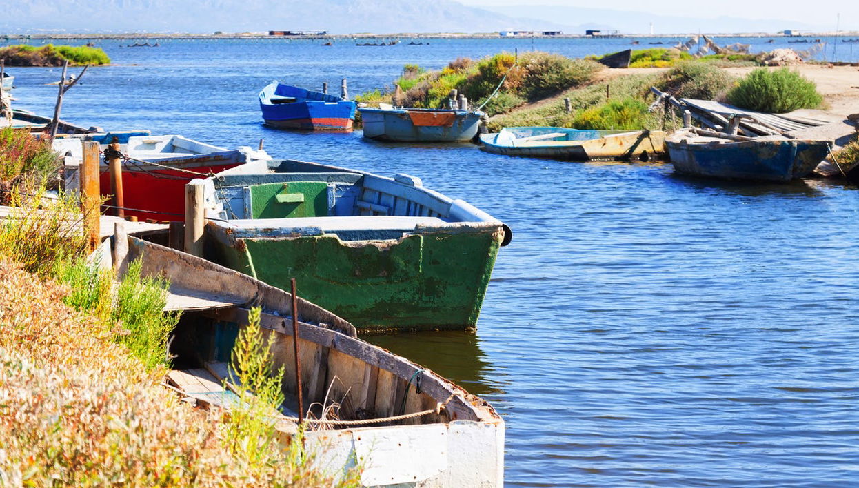 Ebro Delta Day Trip + Boat Ride - Photo 1