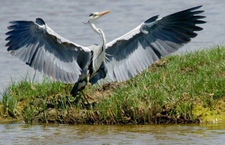 Ebro Delta Day Trip + Boat Ride - Foto 6