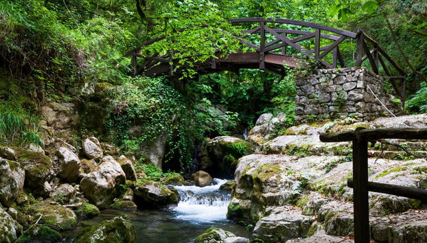 Morigerati Oasis Excursion - Photo 3