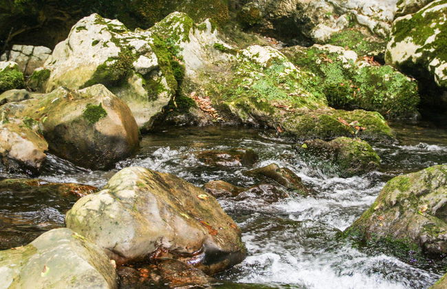 Excursion à l'Oasis de Morigerati - Foto 6
