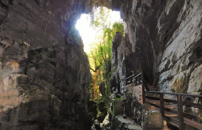 Excursão ao oásis de Morigerati - Foto 4