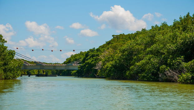 Excursión a Las Coloradas y Río Lagartos - Foto 2