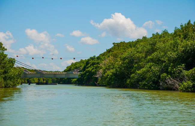 Day Trip to Las Coloradas & Rio Lagartos - Foto 2