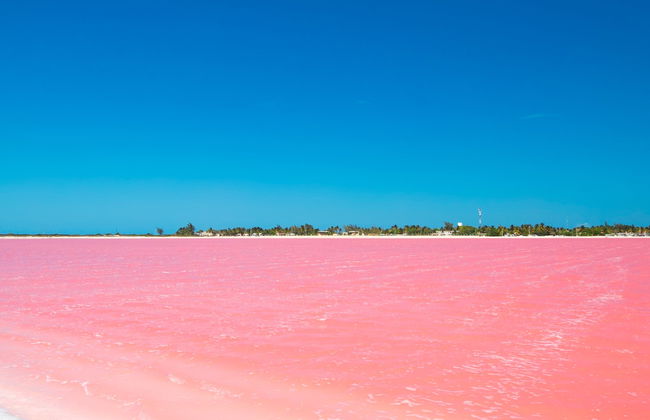 Excursión a Las Coloradas y Río Lagartos - Foto 4
