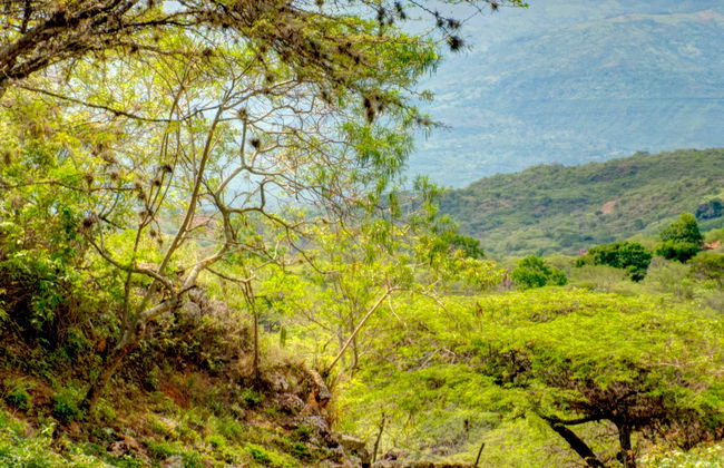 Senderismo por el Camino Real hasta Guane - Foto 6