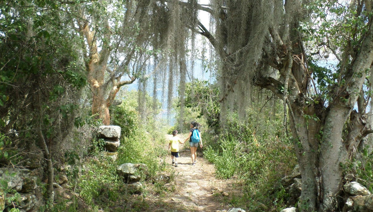 Trekking al Camino Real di Guane - Foto 1