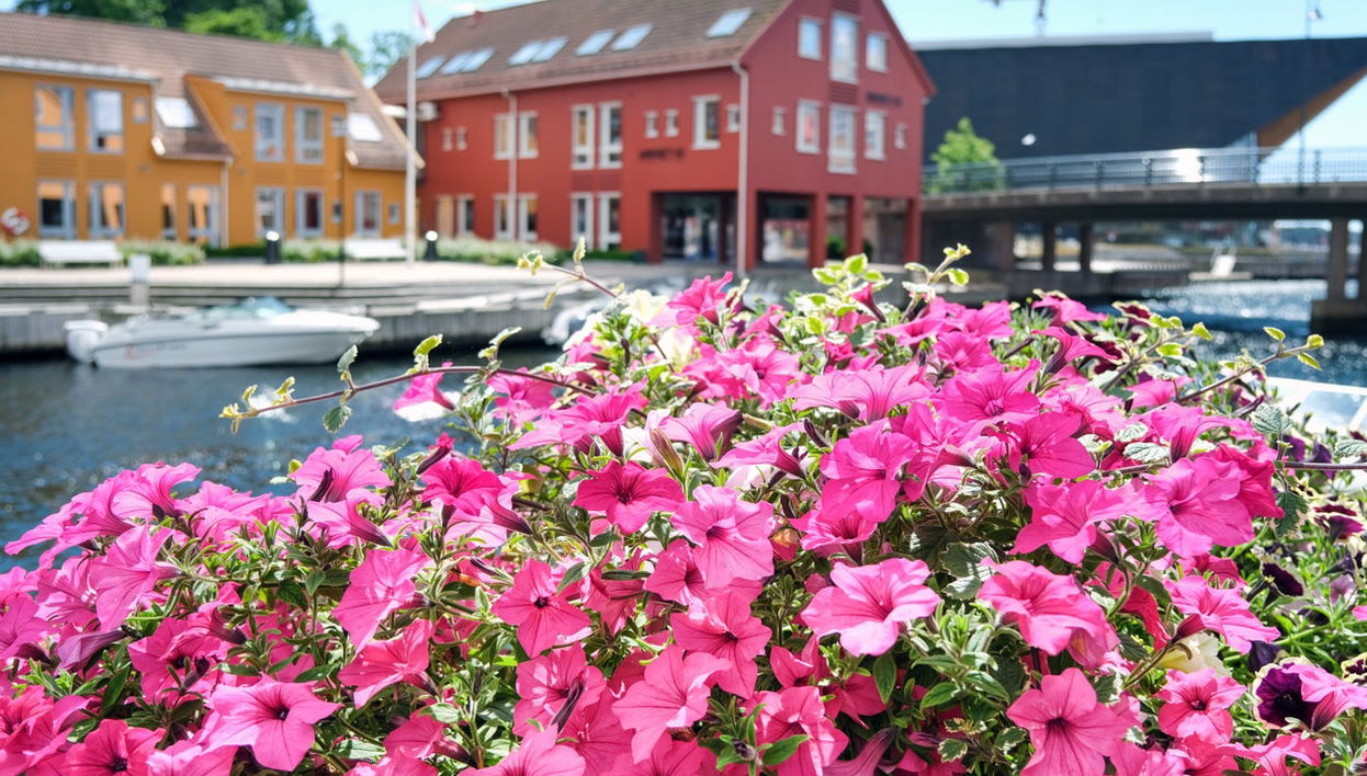 Kristiansand Guided Tour - Foto 1