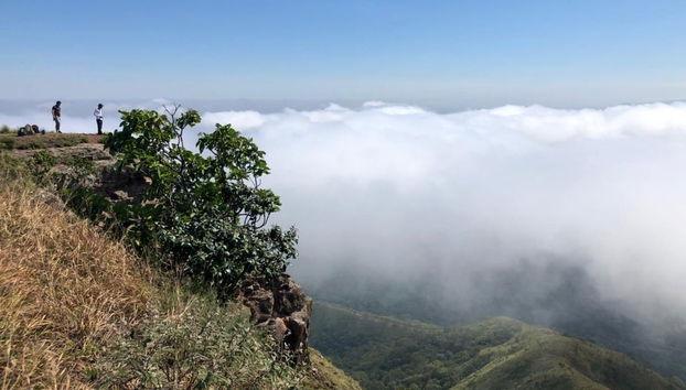 Trilha até o Morro de São Jerônimo - Foto 3