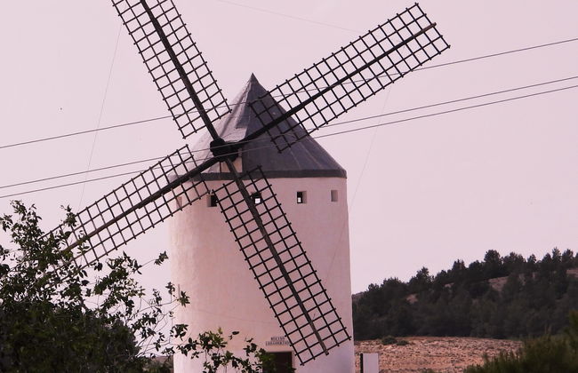 Visita guiada por El Romeral - Foto 7