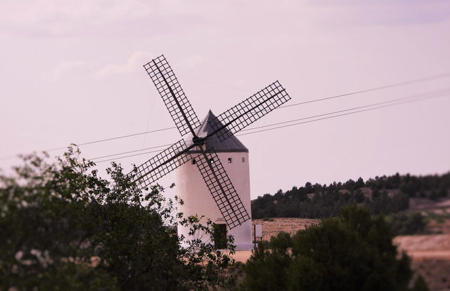 Visita guiada por El Romeral - Foto 6