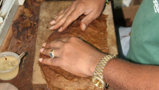 Visita a la fábrica de cigarros Graycliff Cigar Company - Foto 5