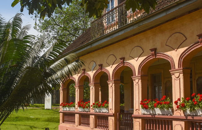 Excursión a la Casa Krüger - Foto 8