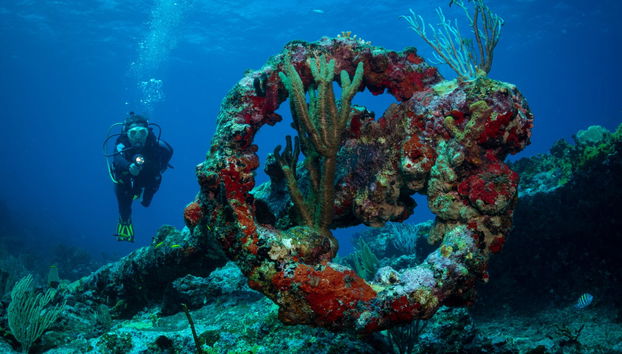 Baptême de plongée à São Miguel - Photo 5