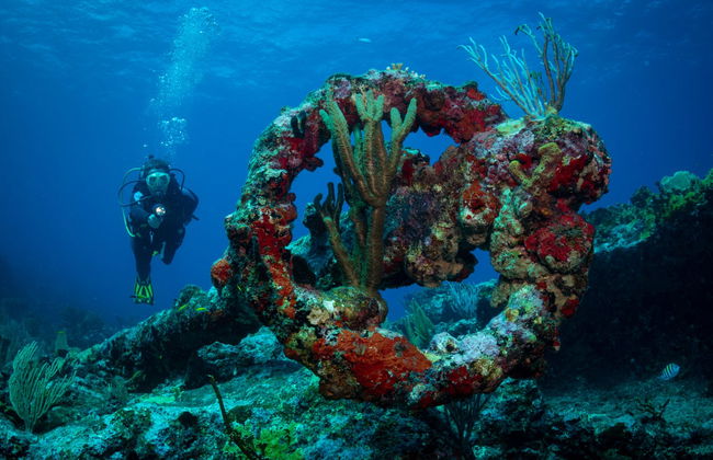 Bautismo de buceo en São Miguel - Foto 5