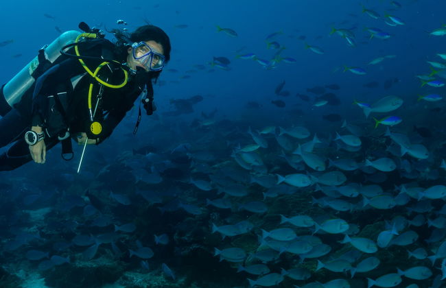 Buceo en São Miguel - Foto 2