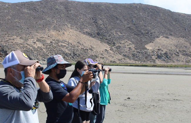 Birdwatching + Kayaking Tour - Photo 3