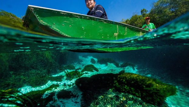 Sucuri River Boat Tour - Photo 3