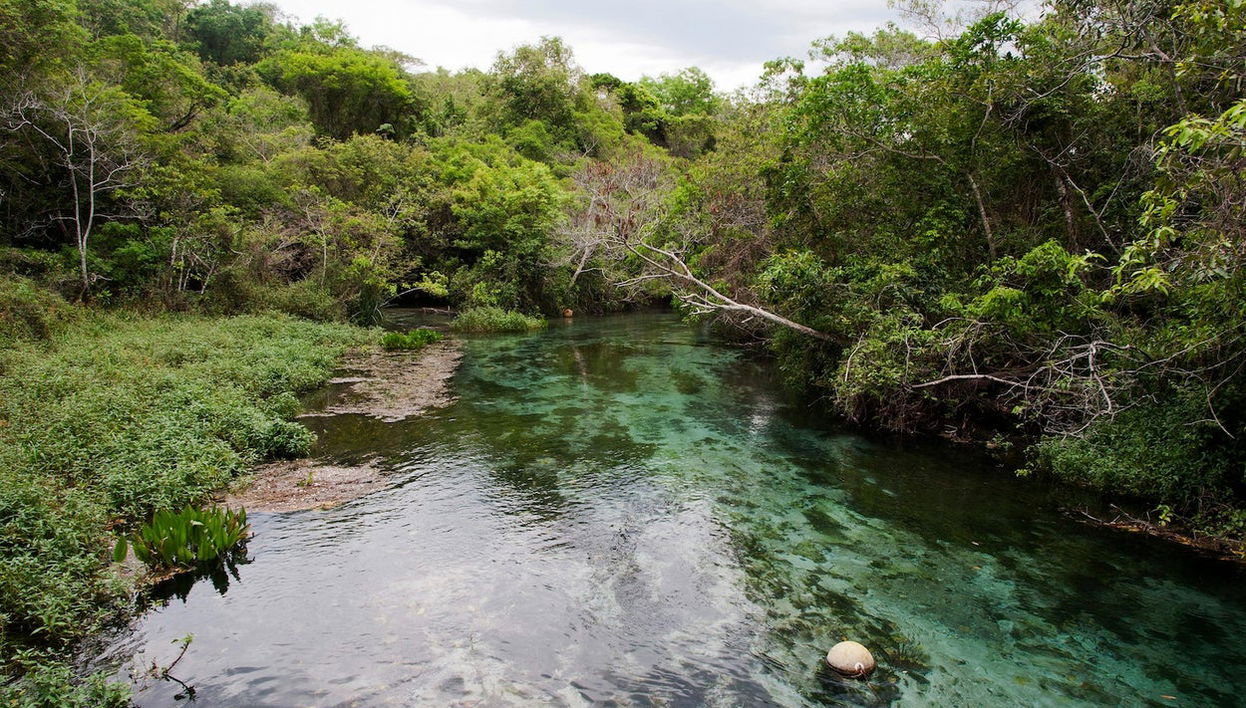 Sucuri River Boat Tour - Photo 1