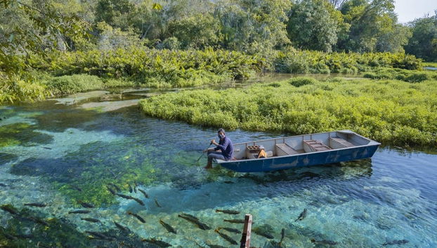 Sucuri River Boat Tour - Photo 4