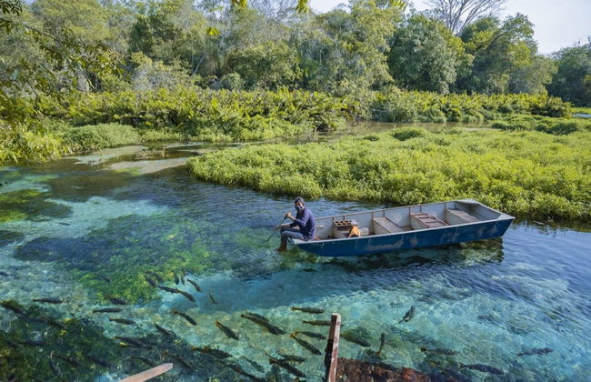 Paseo en barco por el río Sucuri - Foto 6