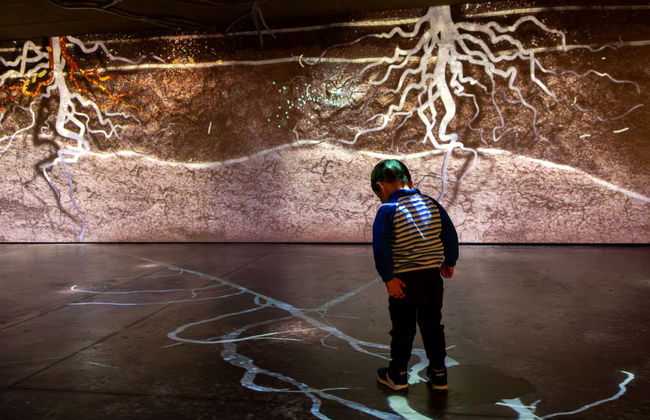 Entrada al museo enológico Pressoria + Cata de champán - Foto 11