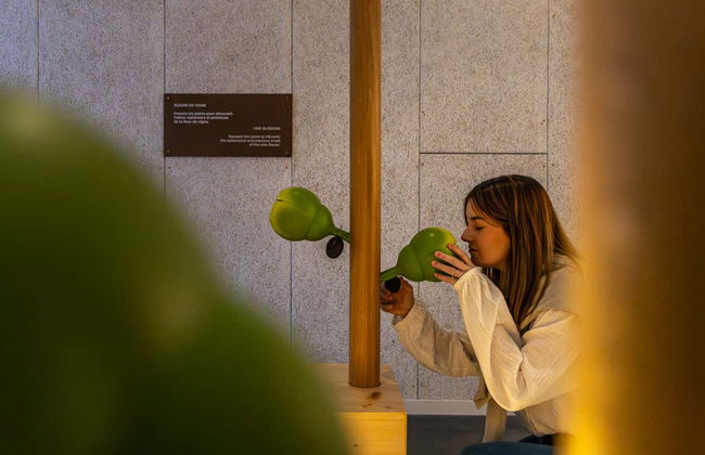 Entrada al museo enológico Pressoria + Cata de champán - Foto 12