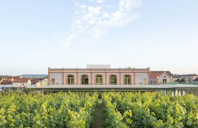 Entrada al museo enológico Pressoria + Cata de champán - Foto 10